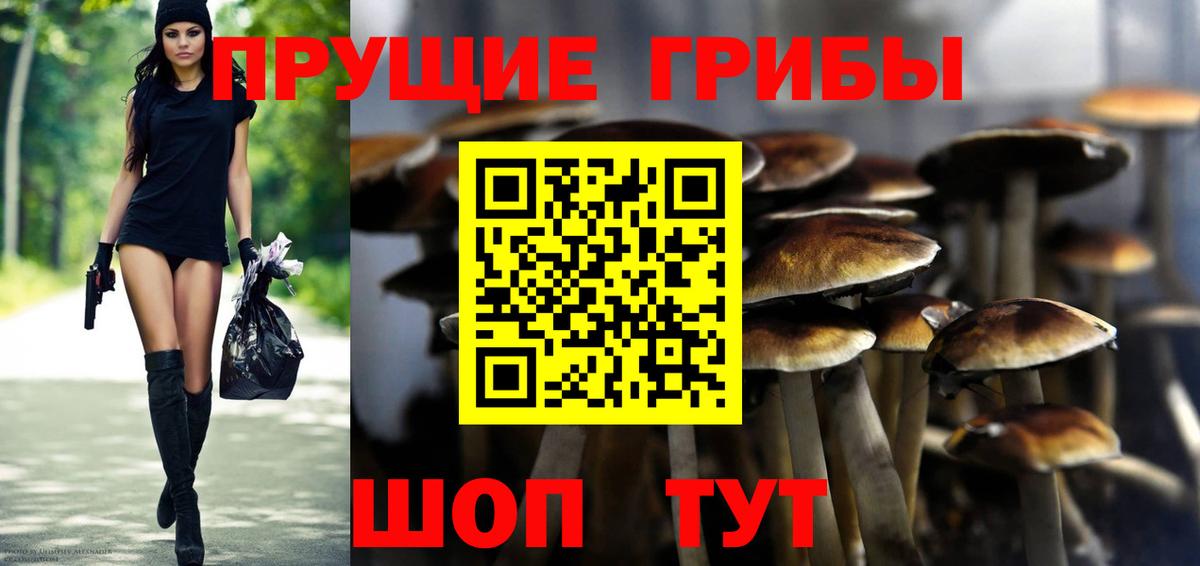 Шали  Галлюциногенные грибы прущие грибы  Вход с VPN 
