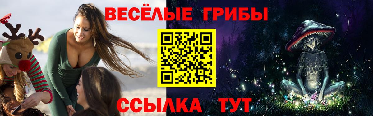 Галлюциногенные грибы GOLDEN TEACHER Шали